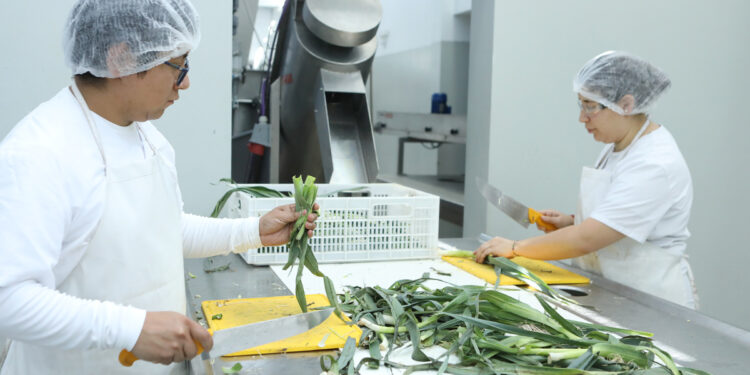 De La Plata a Rosario: se multiplica el modelo de la Planta de Alimentos de la UNLP