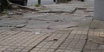 Plan Vereda: el Municipio comienza a relevar las calles de La Plata