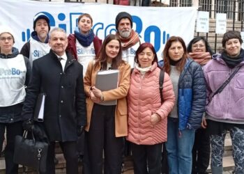 Foto: Pulso Noticias